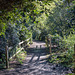 A path at Roydon Park.. HFF.