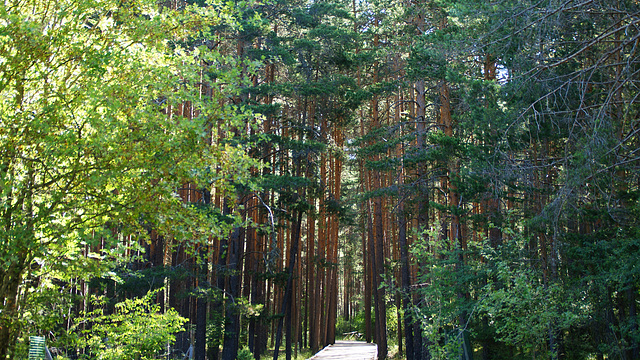 NACIMIENTO RIO CUERVO,CUENCA