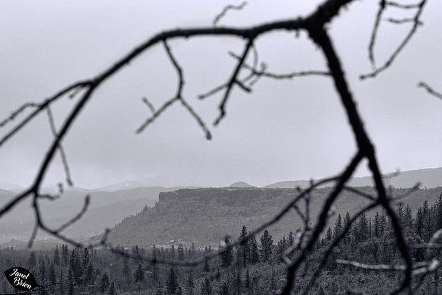 Pictures for Pam, Day 120: SSC: Framed Lower Table Rock