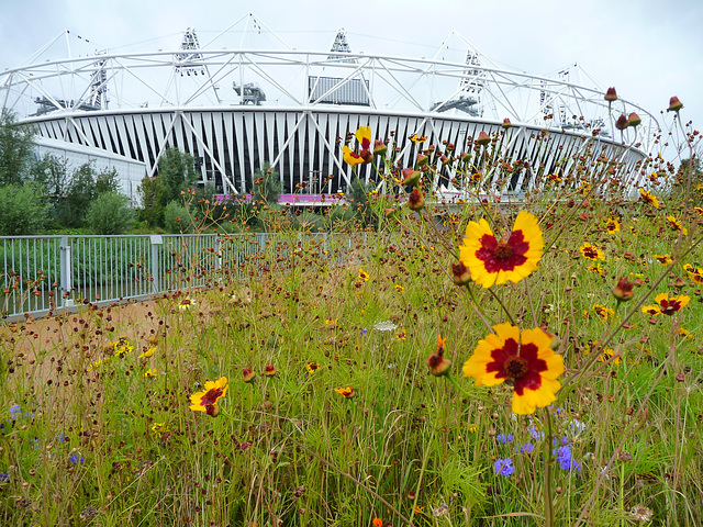 HFF from Olympic Stadium ~ London ~ 2012