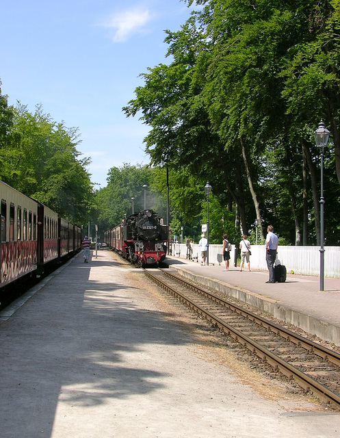 Molli am Bahnhof Heiligendamm