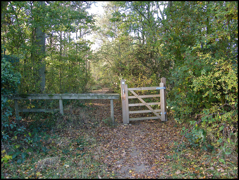 footpath to Bladon