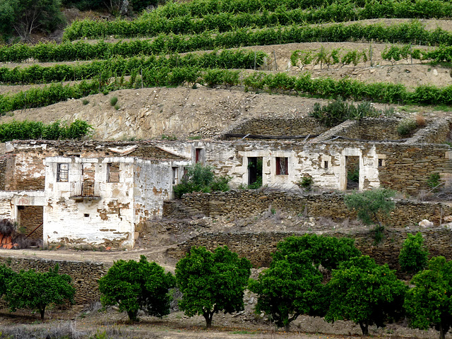 Vesuvio- Abandoned Quinta Buildings