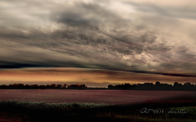 October fields.