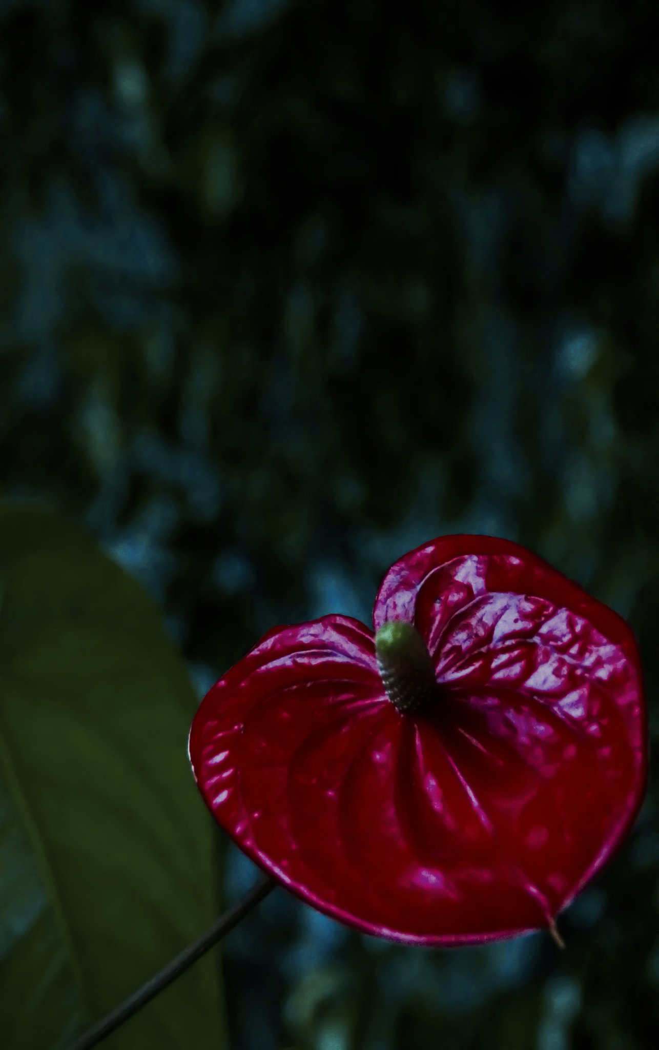From the Dark