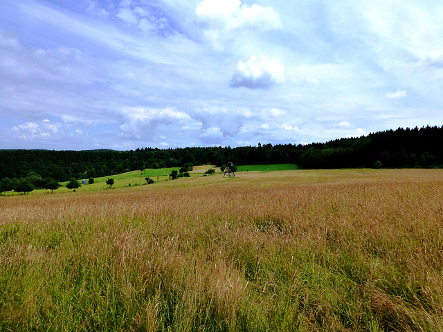 DE - Bad Münstereifel - Jahrhundertweg Trail