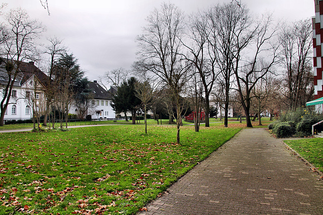 Grünanlage Südring (Hamm) / 16.12.2023