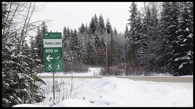 Quesnel, Hydraulic Road.