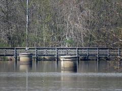 Boardwalk