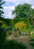 Hidcote Manor: Mrs Winthrop's Garden, 2000-09-17