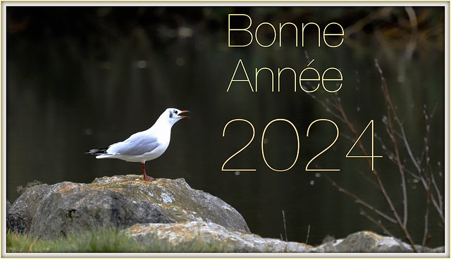 Meilleurs Souhaits à tous Meilleurs Souhaits à tous