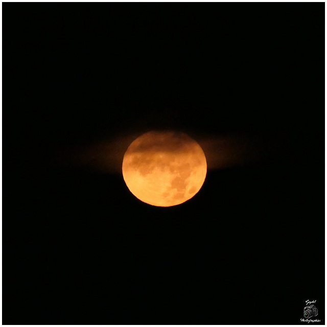 Super Lune "Bleue" du 19/08/2024