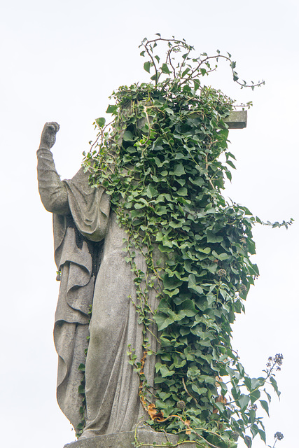 Rage, rage, against the dying of the light and the climbing of the vine