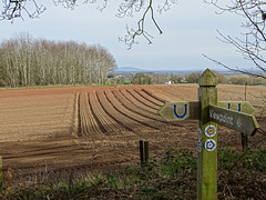 The Cliffe viewpoint