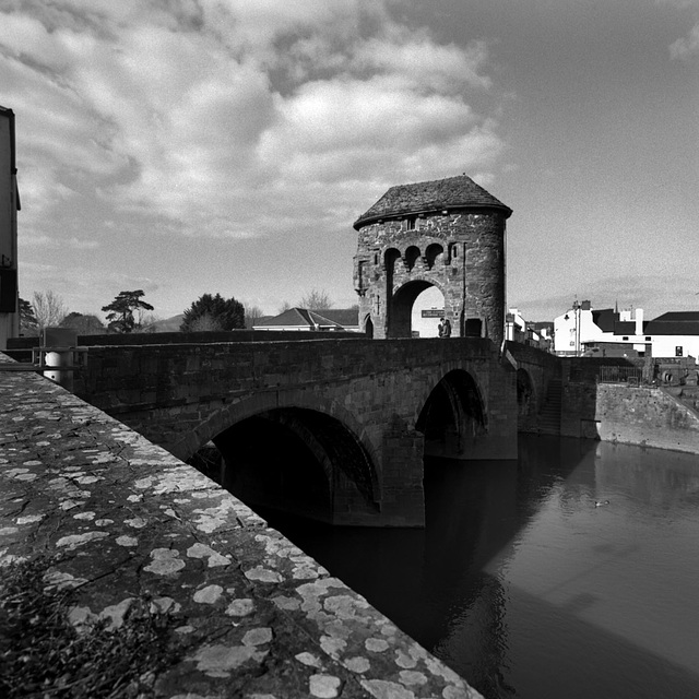 A kiss on the brige