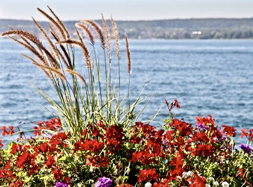Bodensee
