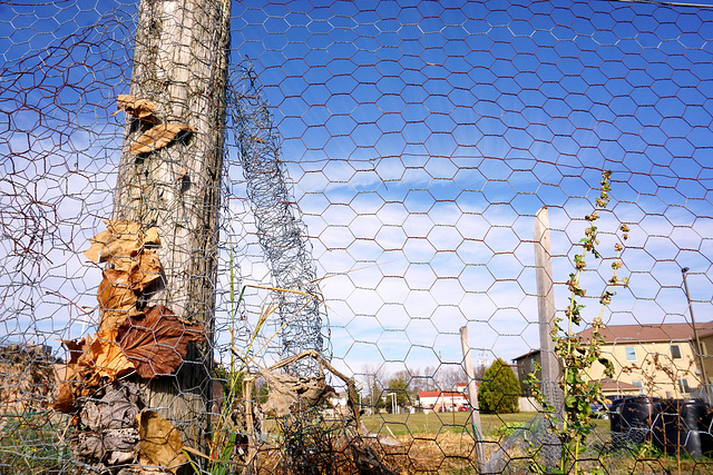 Happy Fence Friday