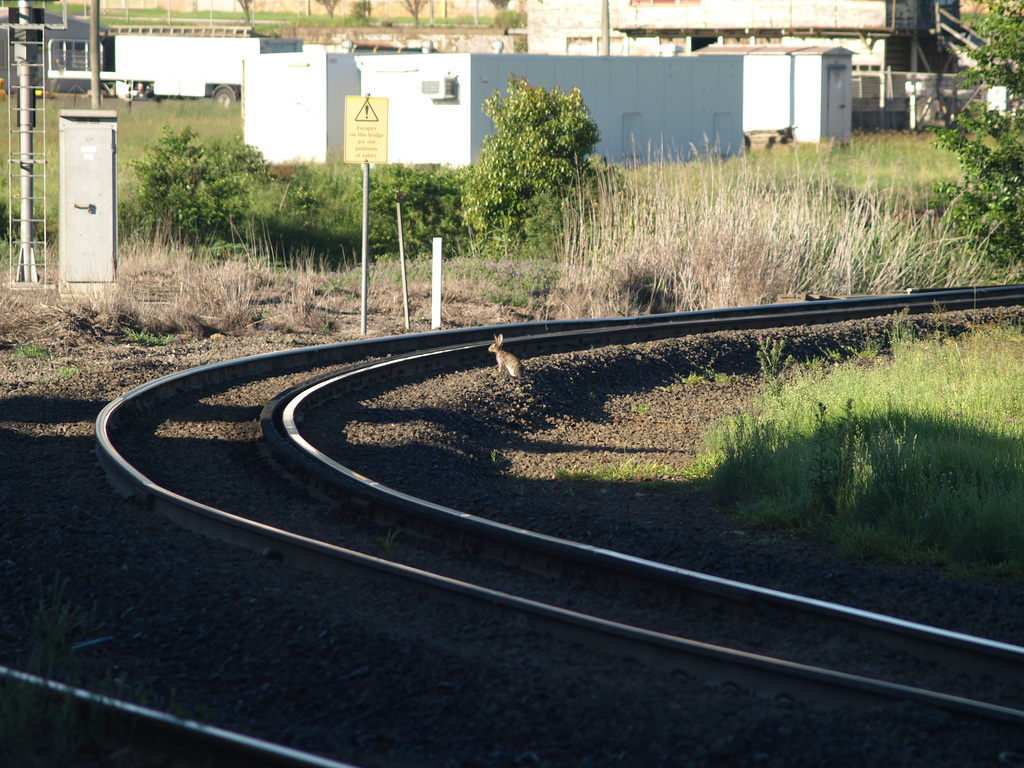 LookForTrains