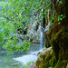 NACIMIENTO RIO CUERVO,CUENCA