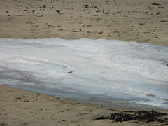 on pouvait patiner meme à la plage