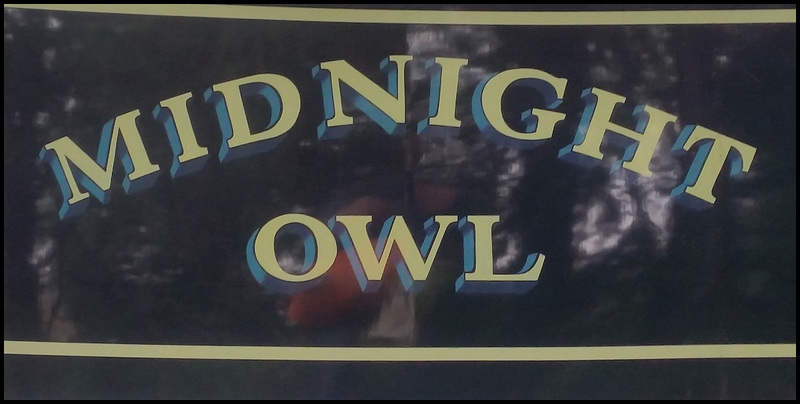 Midnight Owl