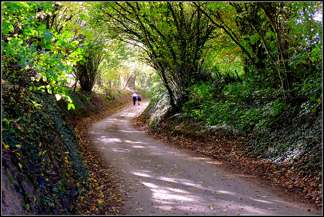 Autumn tunnel (2)