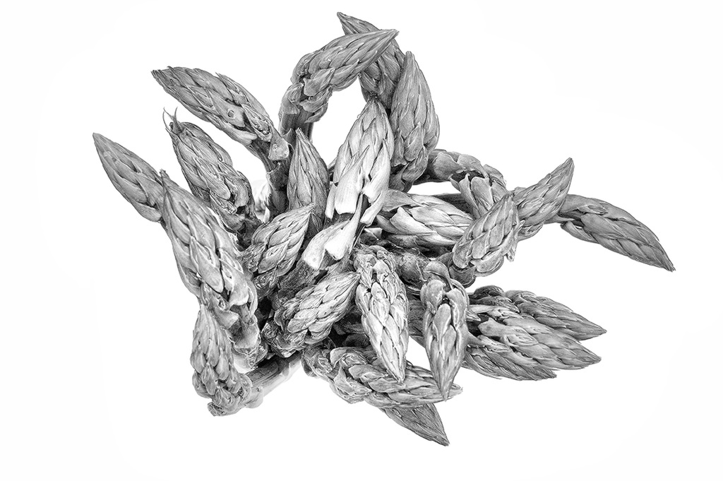Asparagus