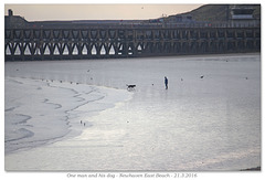 One man and his dog, Newhaven, 21 3 2016