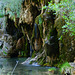 NACIMIENTO RIO CUERVO,CUENCA