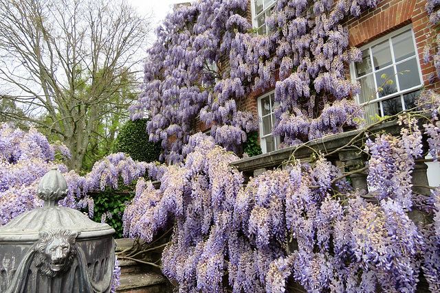 pashley manor house, sussex