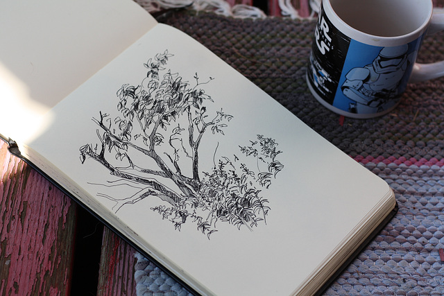 Sketch garden