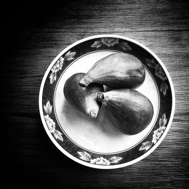 b&w figs