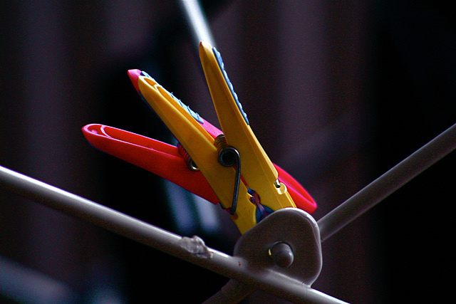 Clothes Horse