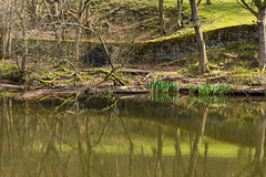 Cote Lodge reflection