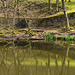 Cote Lodge reflection