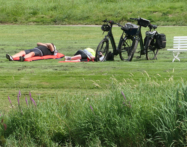 groggy auf dem Weserradweg