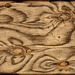 Wood grain abstract