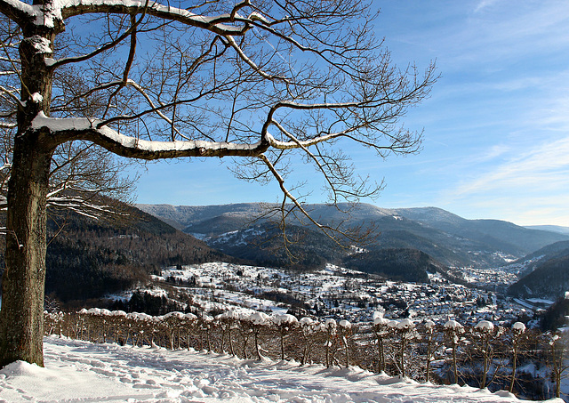 Blick auf's Murgtal