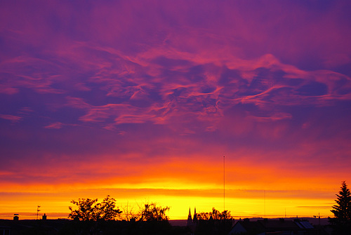 Purple Morning