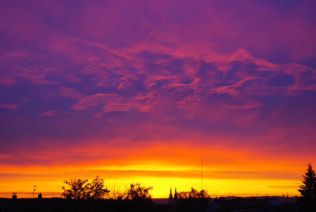 Purple Morning
