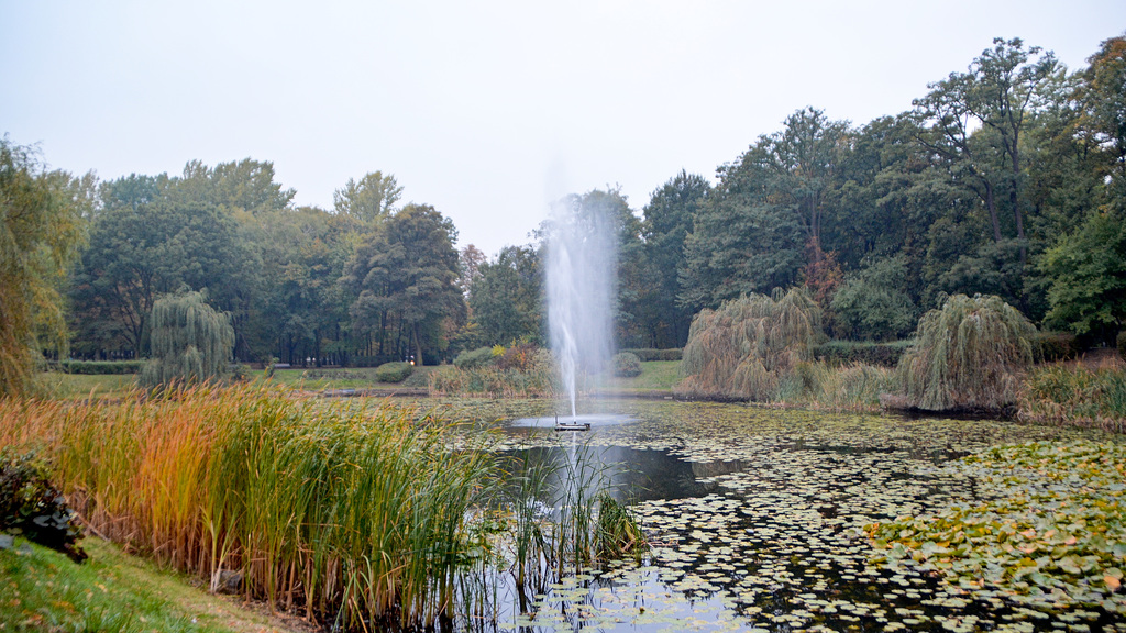 Park of Roses in Chorzow,Polen