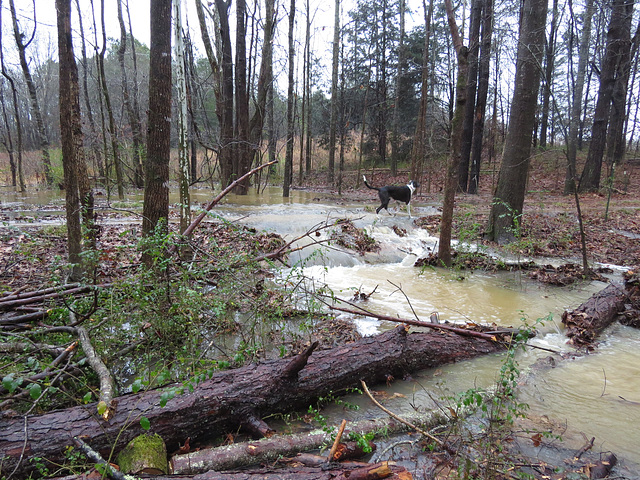 Water flowing over driveway