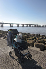 Sunday stroller