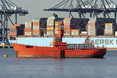 Trinity House Lightvessel LV 22