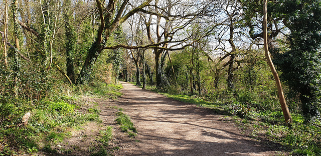 Cosmeston spring