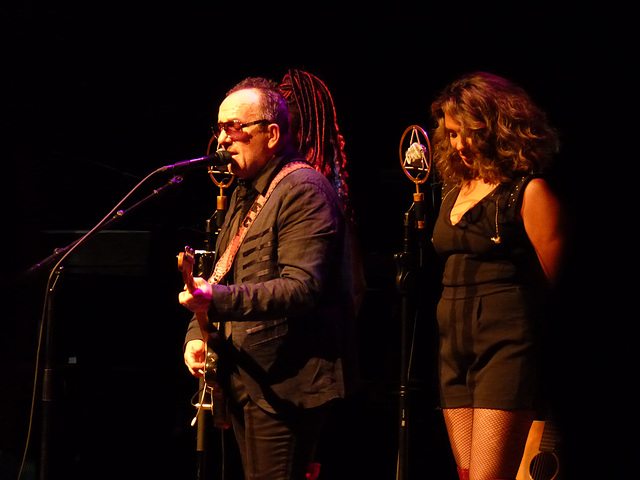 Elvis Costello