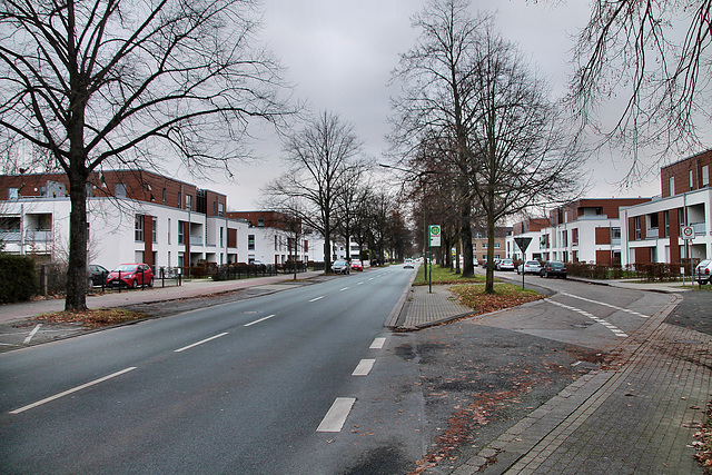 Lippestraße (Hamm-Werries) / 16.12.2023