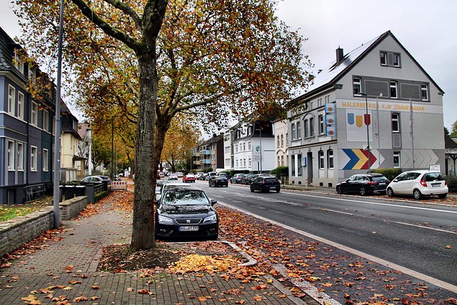 Wasserstraße (Bochum-Wiemelhausen) / 2.11.2024