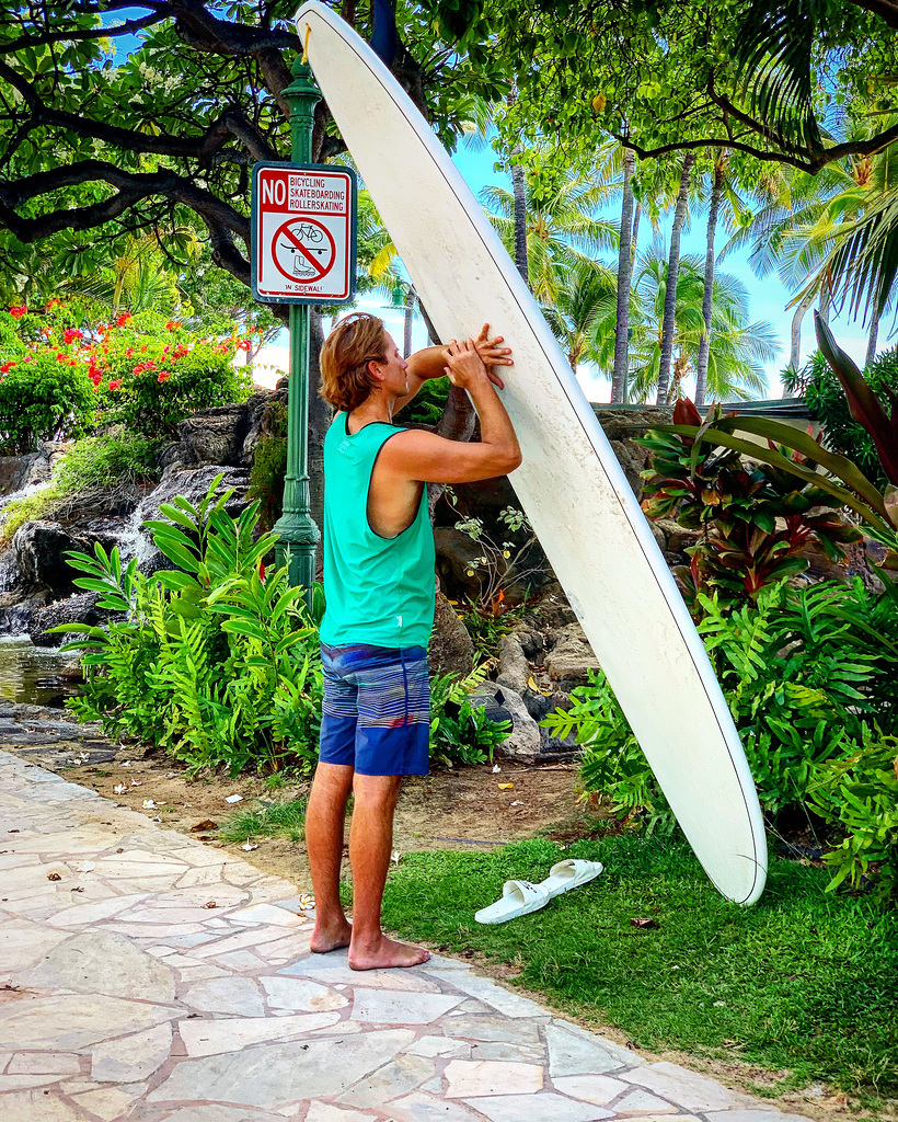 adoration of the surf board