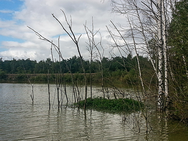 20150906 025Hw [D~SHG] Baggersee, Findlingsgarten, Rinteln-Möllenbeck